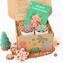 Merry Christmas Stockings Postcard, christmas Postcard 2025, cute design Postcard for plant lovers