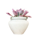 ceramic pots for sale, ceramic modern pot for indoor plant, ceramic planter for sale