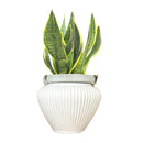 ceramic pots for sale, ceramic modern pot for indoor plant, ceramic planter for sale