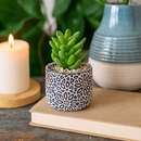 Geometric Floral Pot for sale, Ceramic Pot for succulents and flowers, Modern style flower pot for sale, Succulent gift decor ideas