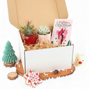 cute holiday cards, modern holiday cards, holiday cards 2025, holiday cards sale