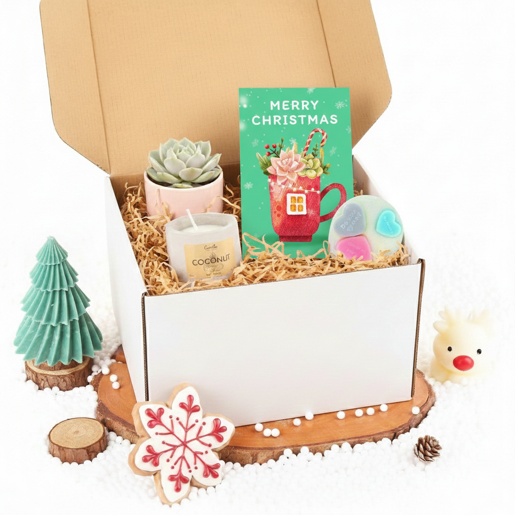 unique xmas gifts for plant lovers, indoor succulents for sale, gift delivery, buy holiday gift online