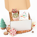 Merry Christmas Stockings Postcard, christmas Postcard 2025, cute design Postcard for plant lovers