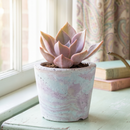 Custom plant pot with personalized image, personalized flower pot with live plant, custom photo plant pot, personalized planter with plant of your choice, custom printed ceramic planter, personalized succulent pot, custom image flower pot gift, custom photo planter for houseplants