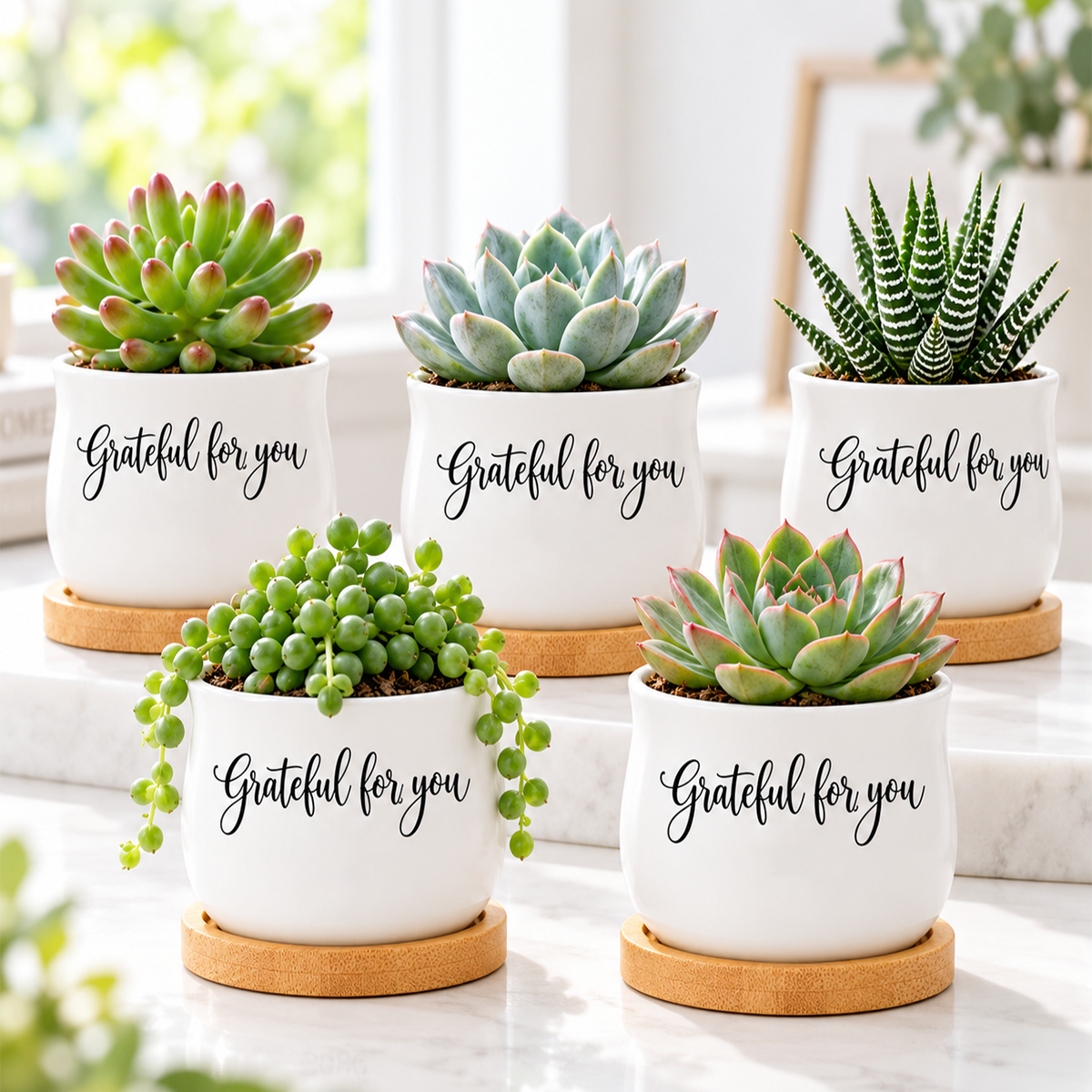 buy Pack of Succulent Pot - Grateful for you online, white glazed ceramic barrel-shaped mini pot, natural bamboo drainage tray included, perfect for desktop displays and thoughtful gifts, ideal for holding small plants dried flowers or tea lights