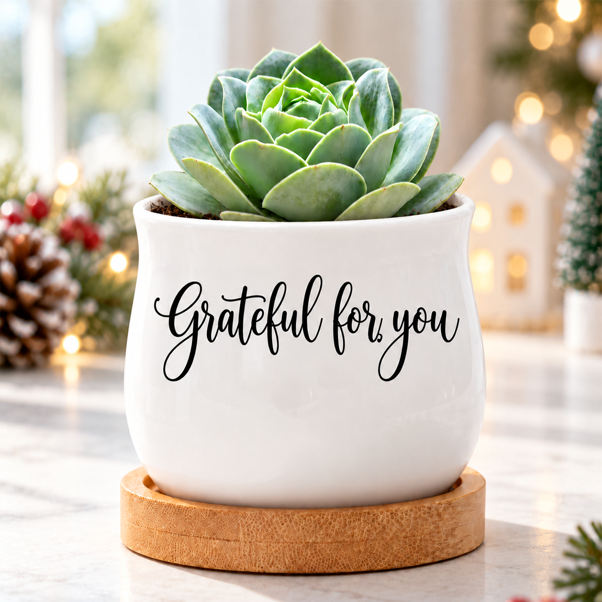 buy Succulent Pot - Grateful for you online, white glazed ceramic pot, barrel curved shape, bamboo drainage tray included, ideal for desktop display, thoughtful gift for plant lovers