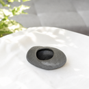 6 pack gray stone ceramic tillandsia air plant holder set live air plant for sale, minimalist gray stone ceramic vessels with natural texture and neutral aesthetic, air plants with wispy foliage that flourish in humid kitchen environments, scorches easily in intense south-facing light so prefers filtered indirect brightness, needs regular rotation to maintain balanced growth form, stunning bright windowsill decor, rare collector plant gift for modern plant lovers