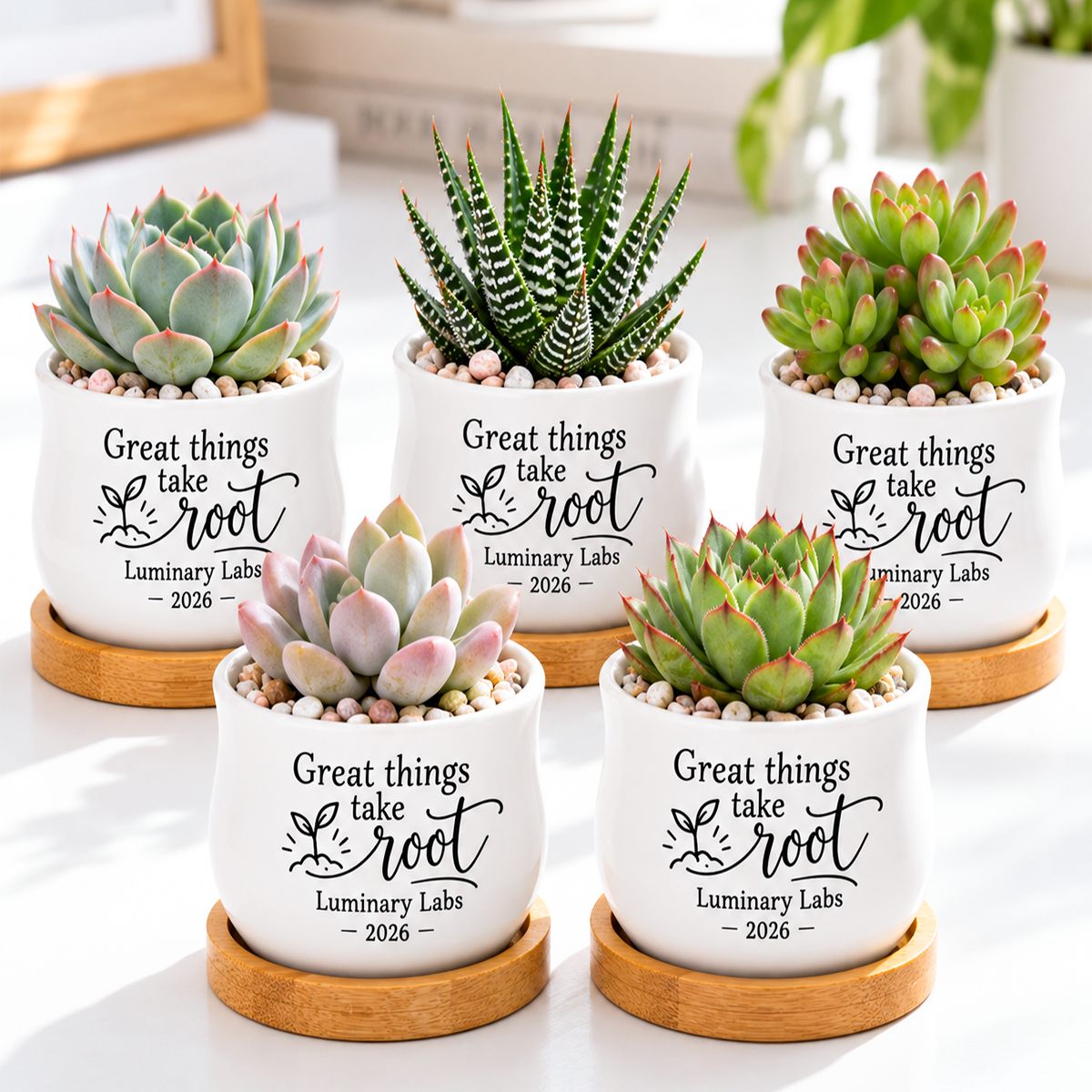 buy pack of personalized succulent pot for corporate favor great things take root online, white glazed ceramic mini planter, barrel-shaped desktop pot, custom printed company name and date, ideal corporate team gift
