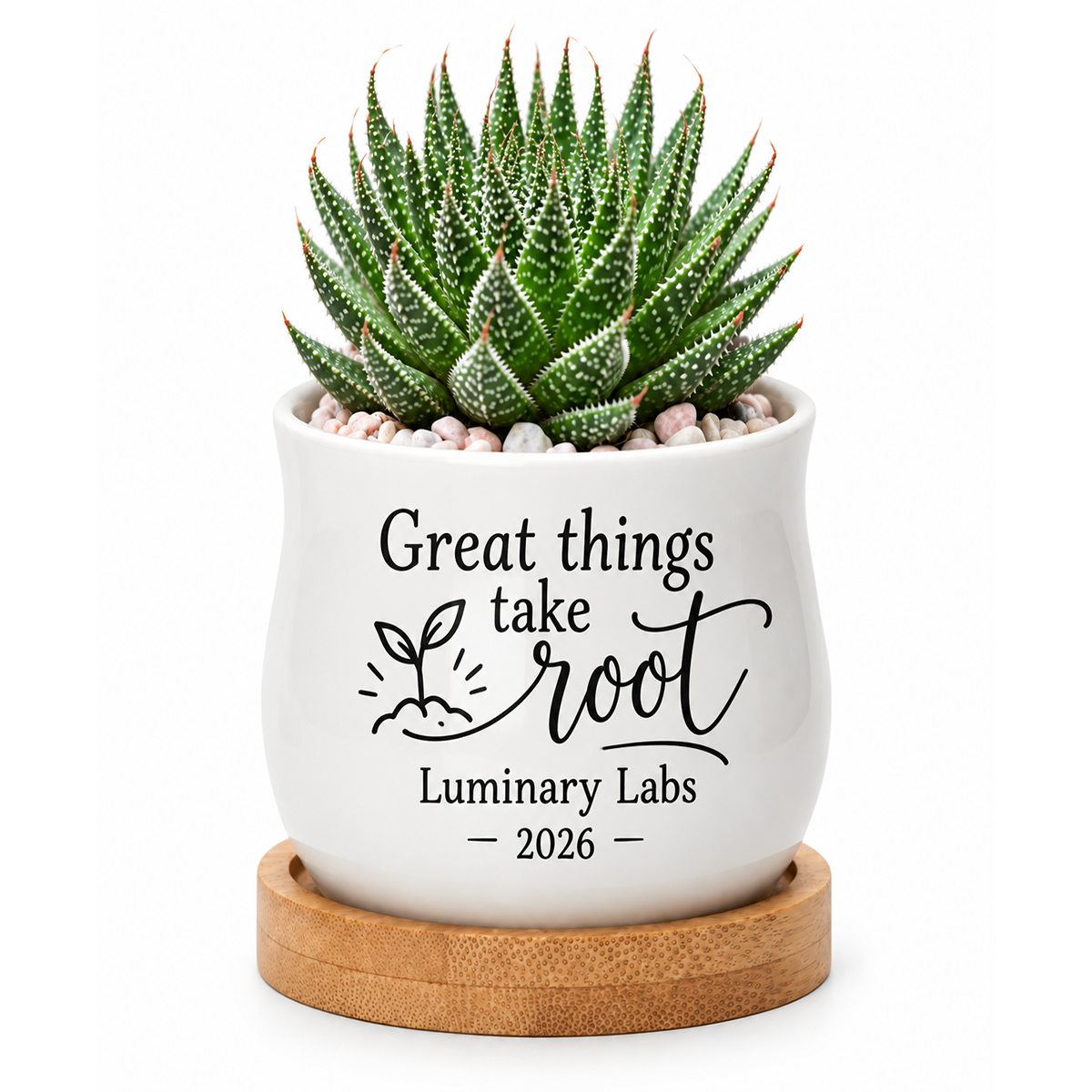 personalized ceramic mini pot for corporate favor great things take root online, white glazed finish with custom text printing, includes protective bamboo base tray, great for team events and corporate favor packaging