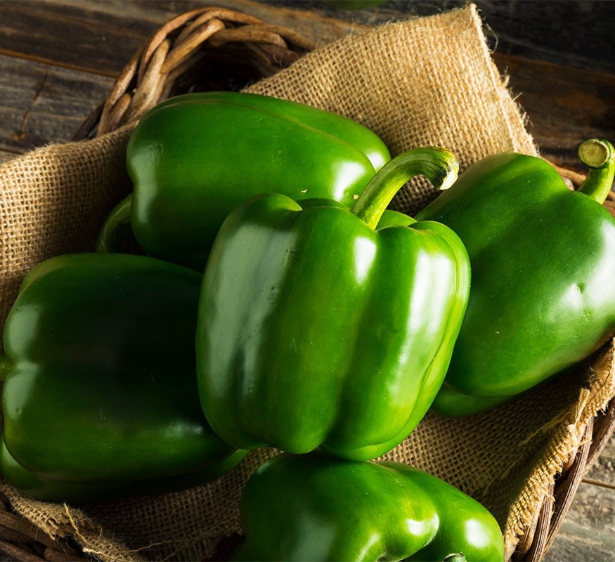 Green bell pepper plants for sale (pepper plants, bell pepper, bell pepper plants, green bell, green bell pepper) Green bell pepper plants for sale