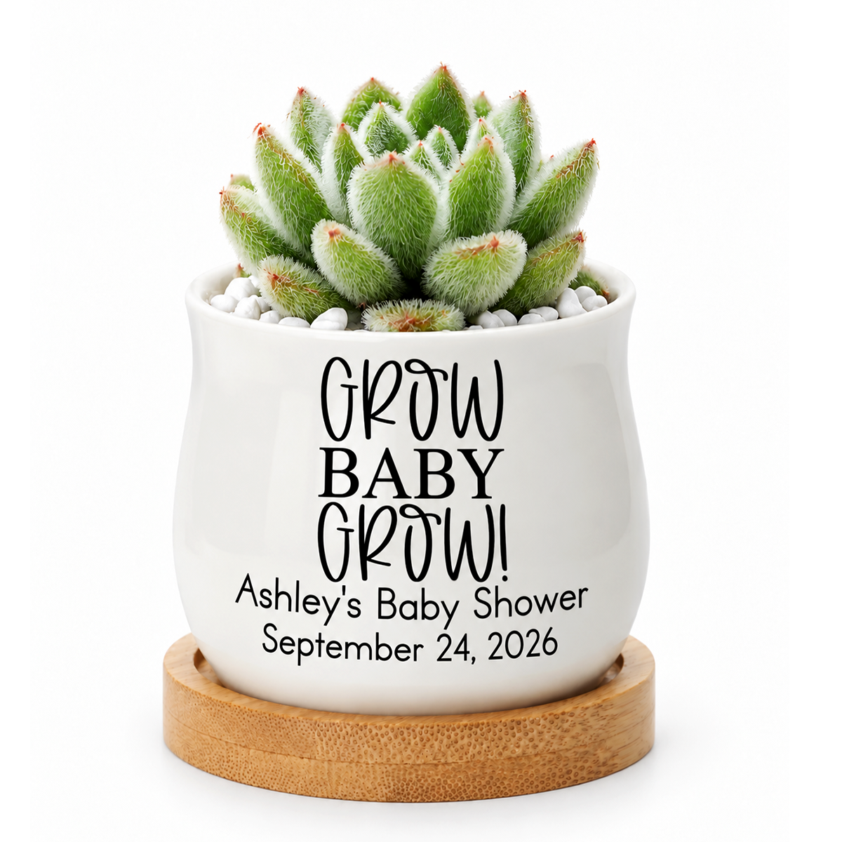 ceramic personalized succulent pot growing baby for sale, handcrafted appearance with natural earth tone coloring, includes pre-planted succulent option or empty pot choice, compact tabletop size perfect for desks and shelves, great gift for new plant parents and succulent collectors