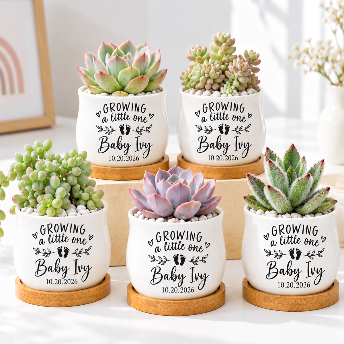 buy Pack of Personalized Succulent Pot for Baby Shower Favor - Growing A Little One online, white glazed ceramic barrel-shaped mini planter, natural bamboo drainage tray included, personalized baby name and date, perfect baby shower keepsake and favor gift