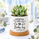 buy Personalized Succulent Pot for Baby Shower Favor - Growing A Little One online, tiny white ceramic planter featuring custom name and birth month year printing, barrel style with drainage function, beautiful favors for baby celebration guests