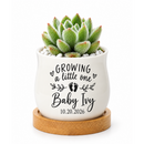 buy Personalized Succulent Pot for Baby Shower Favor - Growing A Little One online, tiny white ceramic planter featuring custom name and birth month year printing, barrel style with drainage function, beautiful favors for baby celebration guests
