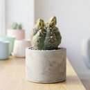 Custom plant pot with personalized image, personalized flower pot with live plant, custom photo plant pot, personalized planter with plant of your choice, custom printed ceramic planter, personalized succulent pot, custom image flower pot gift, custom photo planter for houseplants