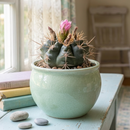 Custom plant pot with personalized image, personalized flower pot with live plant, custom photo plant pot, personalized planter with plant of your choice, custom printed ceramic planter, personalized succulent pot, custom image flower pot gift, custom photo planter for houseplants