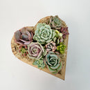 Side angle view of a 6.1-inch heart-shaped succulent arrangement showing the natural texture of the cedarwood planter