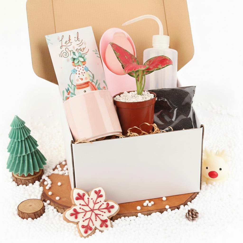 indoor plant growing gifts Houseplant Beginner Kit Gift Box