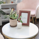 4 inch Hoya Wayetii Variegated, 4 inch houseplant for sale, easy to care houseplants, indoor plants