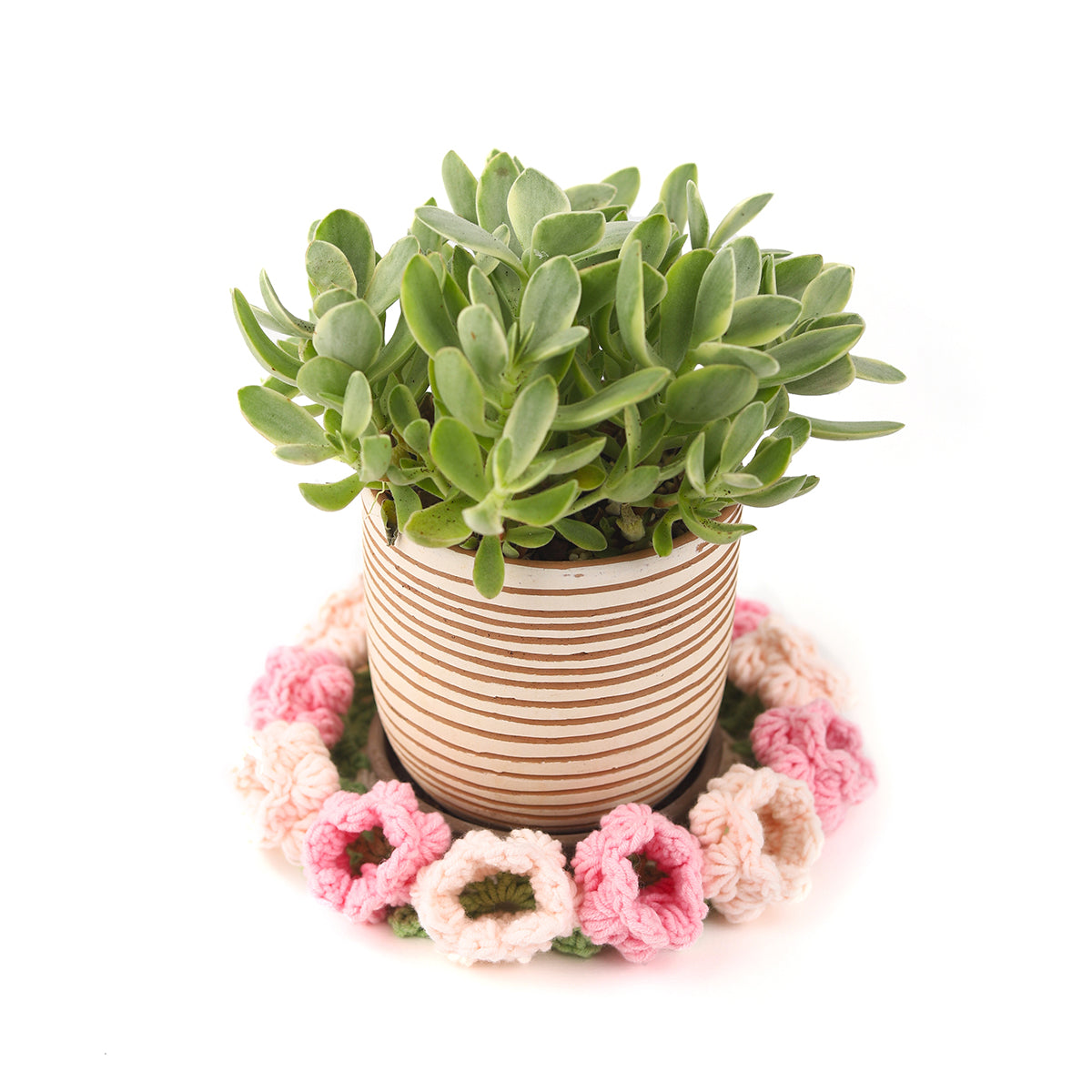 Buy 6 inch Crochet Tulip Coaster, Handmade Tulip Coaster for sale, Crochet Drink Coaster, Mini Flower Bouquet Gifts for Women, Home Decor Table Decor