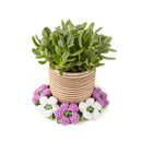 Mini Flower Bouquet Gifts for Mother&#39;s Day, 6 inch Plant Pot Coaster for Sale, Crochet Coaster That Turns Into a Flower Bouquet, Handmade Gift for Women