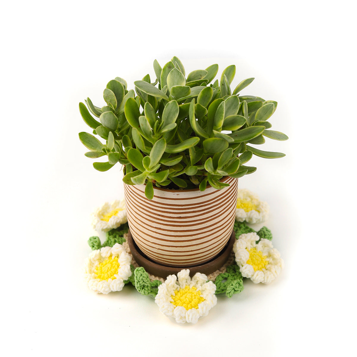 Crochet Daisy Coasters for Plant Pot/ Cup 6&quot;.Dia Finished Product, Mini Flower Bouquet Gifts for Women, Unique Home &amp; Office Decoration