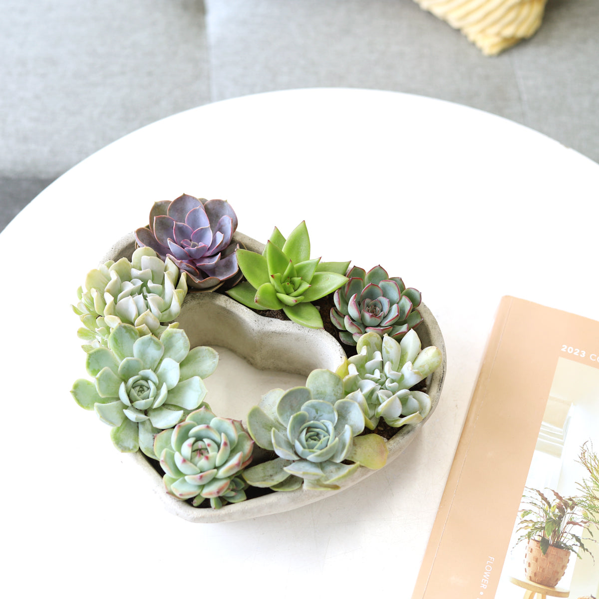 succulents in heart shaped planter Large Succulent Heart Arrangement, Mother's Day Succulent Gift Ideas