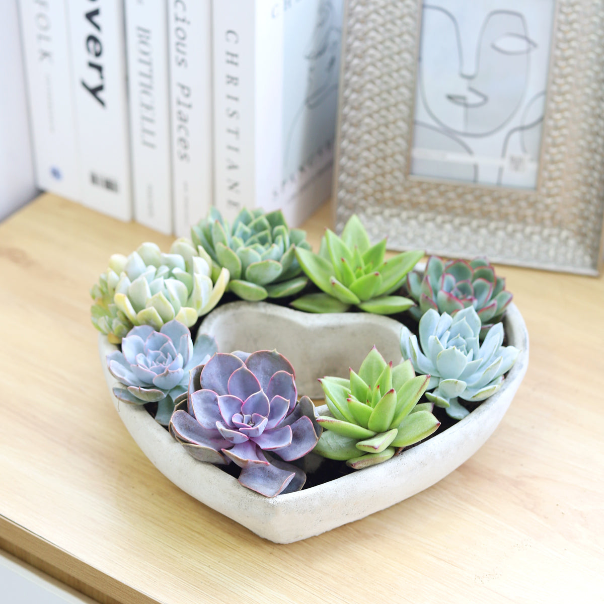 large indoor succulent planter Large Succulent Heart Arrangement, Mother's Day Succulent Gift Ideas