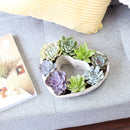 Potted Succulent Arrangement for Sale, Perfect Gifts for Mother&#39;s Day, Mother&#39;s Day Succulent Arrangement 