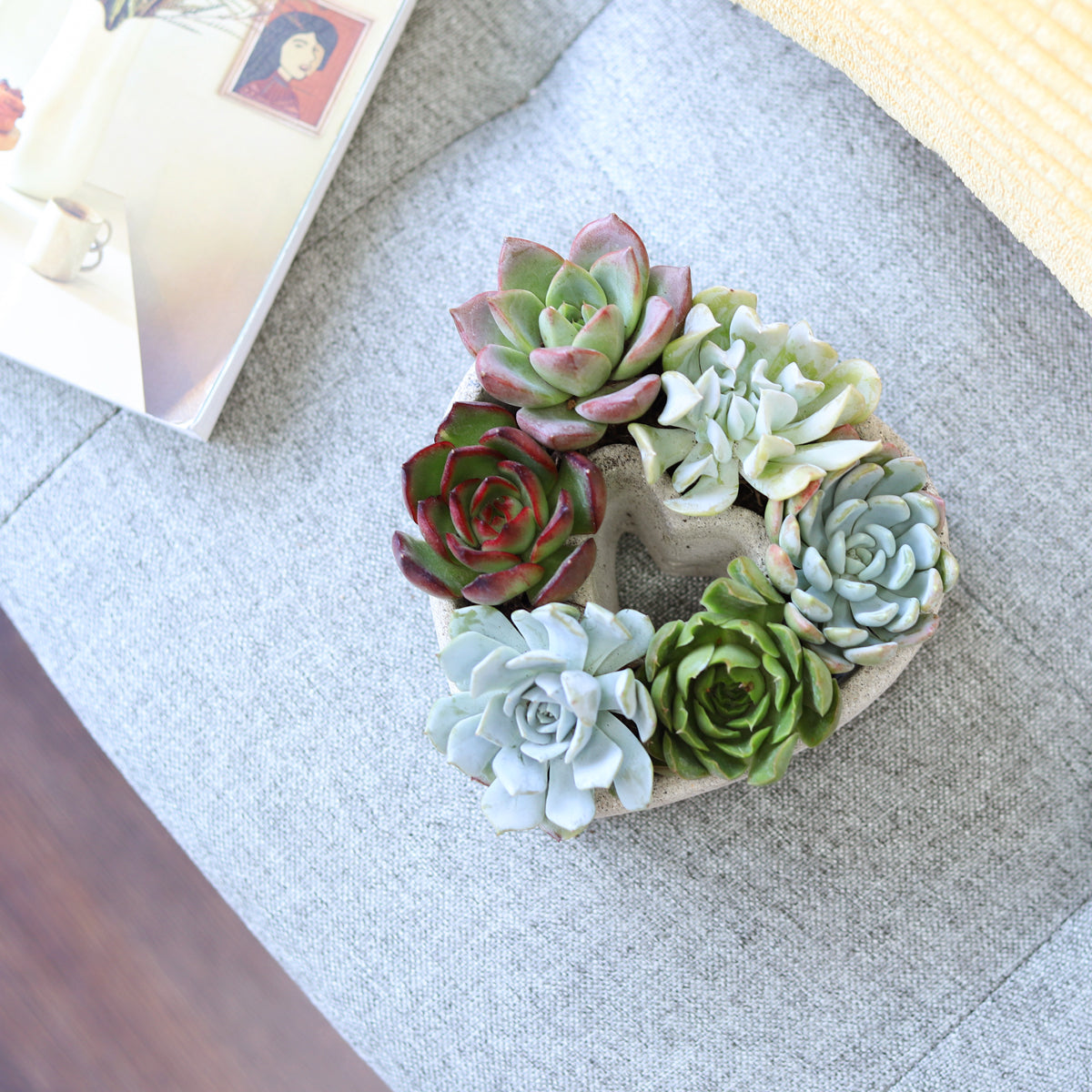7 inch Succulent Heart Arrangement for sale, Succulent Gift Ideas, Live Succulent Arrangement for Home Decor Ideas, Special Occasion Gift Ideas, Mother&#39;s Day Gifts Succulents Ideas, Mother&#39;s Day Succulent Arrangement for Sale Online