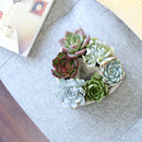 Succulent Arrangement In A Heart Shapped Planter, Give a Lasting and Unique Succulent Gift, Perfect Gifts for Mother&#39;s Day, Send Potted Plants to Mom For Mother&#39;s Day