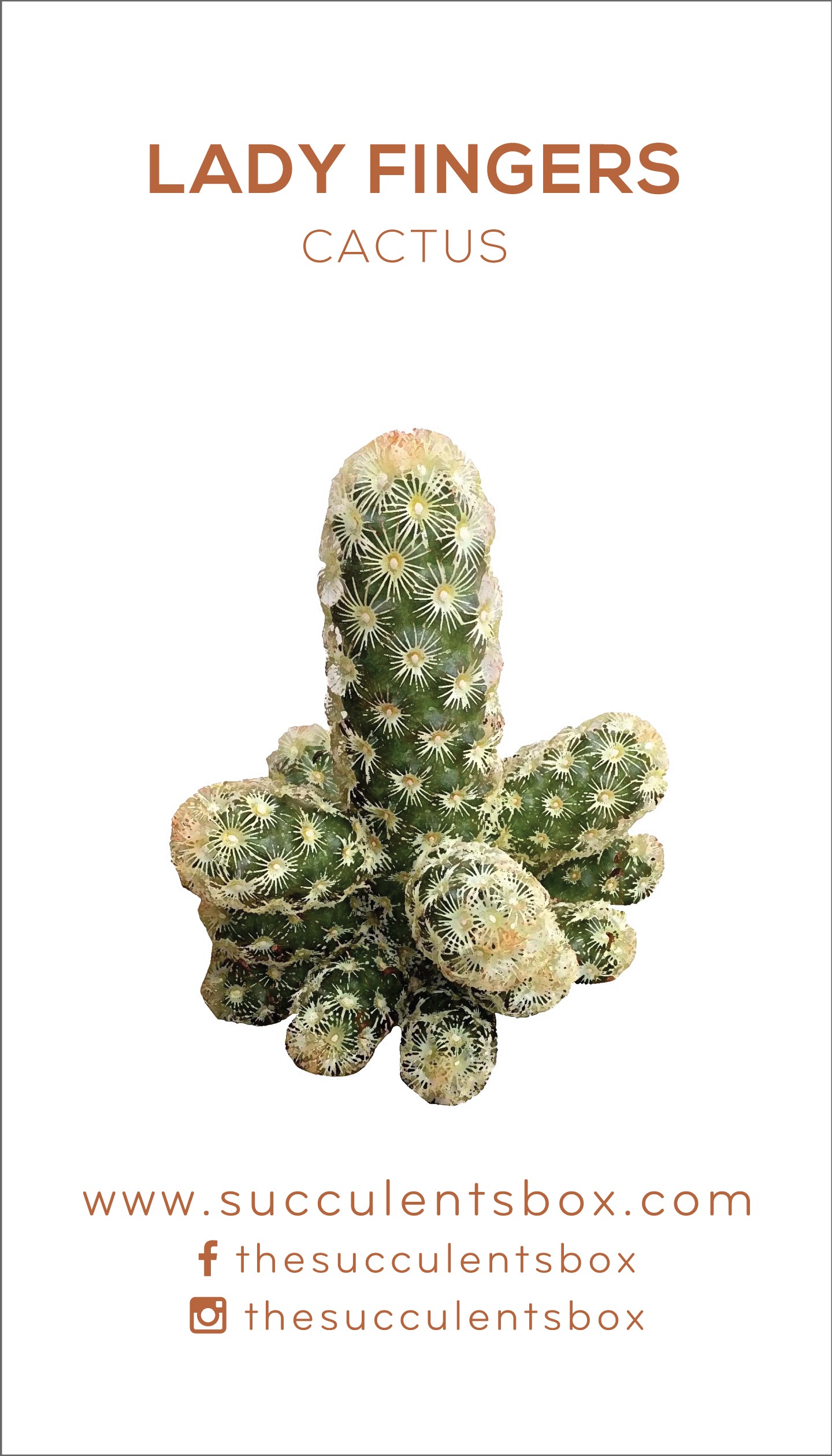 Cactus Succulent ID Cards