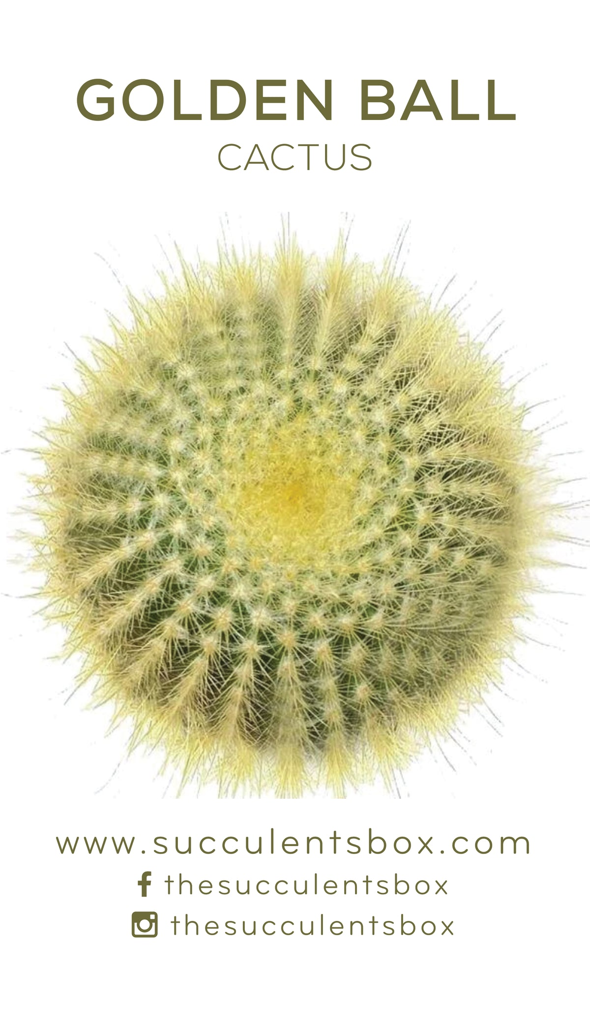 Cactus Succulent ID Cards