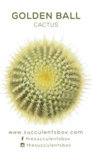 Cactus Succulent ID Cards