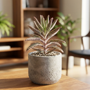 Custom plant pot with personalized image, personalized flower pot with live plant, custom photo plant pot, personalized planter with plant of your choice, custom printed ceramic planter, personalized succulent pot, custom image flower pot gift, custom photo planter for houseplants
