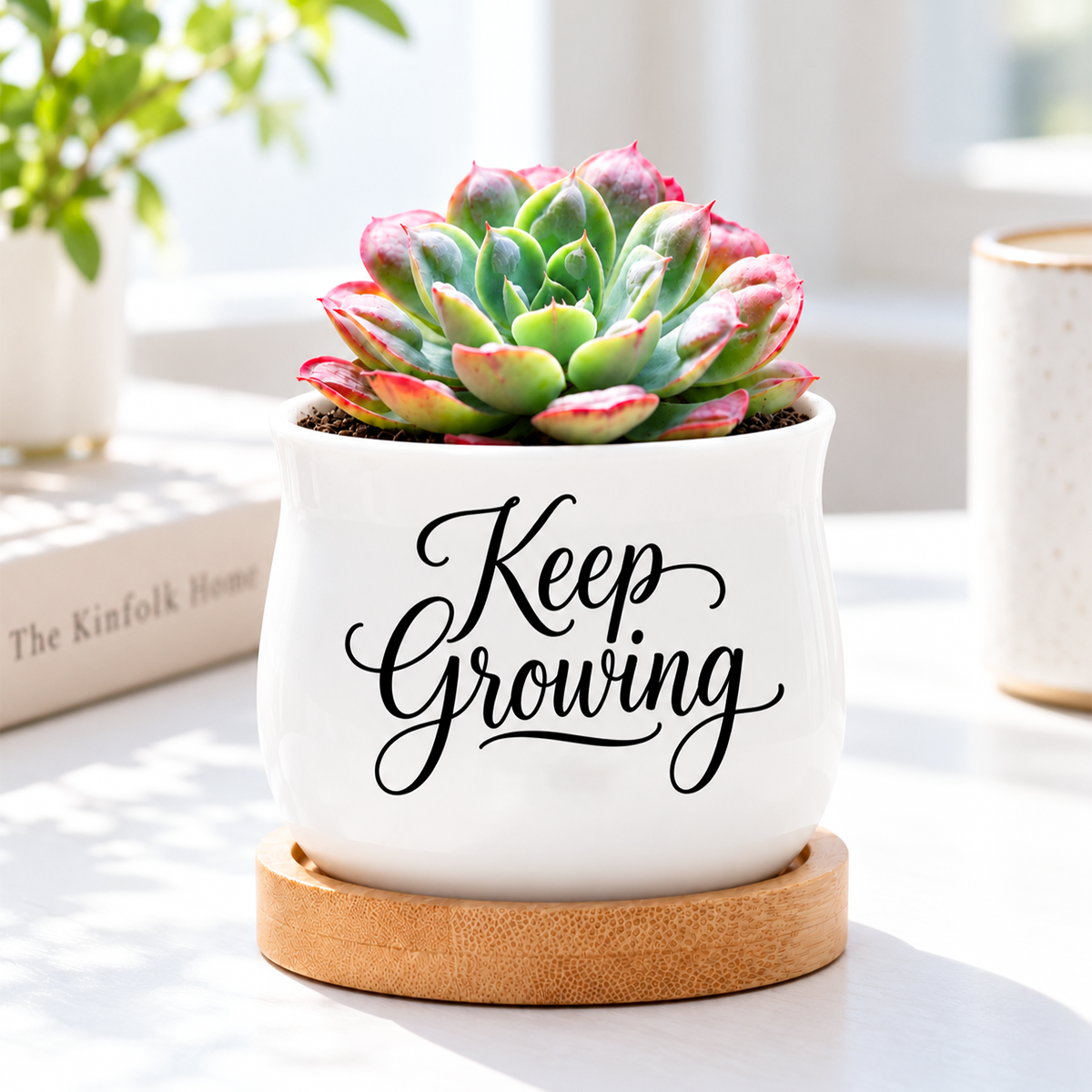 buy Succulent Pot - Keep Growing online, white glazed ceramic barrel-shaped mini planter, includes natural bamboo drainage tray, desktop display accent, thoughtful gift for plant lovers