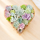 Large 10" Succulent Heart Arrangement for sale. This eye-catching succulent centerpiece makes a thoughtful gift for birthdays, anniversaries, and special occasions.