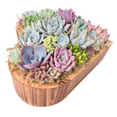 Large 10" Succulent Heart Arrangement for sale. This eye-catching succulent centerpiece makes a thoughtful gift for birthdays, anniversaries, and special occasions.