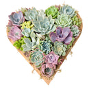 Large 10" Succulent Heart Arrangement for sale. This eye-catching succulent centerpiece makes a thoughtful gift for birthdays, anniversaries, and special occasions.