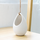3 inch ivory ceramic hanging planter with flat bottom live plant for sale, clean white ceramic rounded vase silhouette, lightweight and durable finish, ideal for bromeliad or tillandsia caput medusae, easy-care no-soil growing style, bohemian hanging wall or shelf display, thoughtful housewarming or birthday