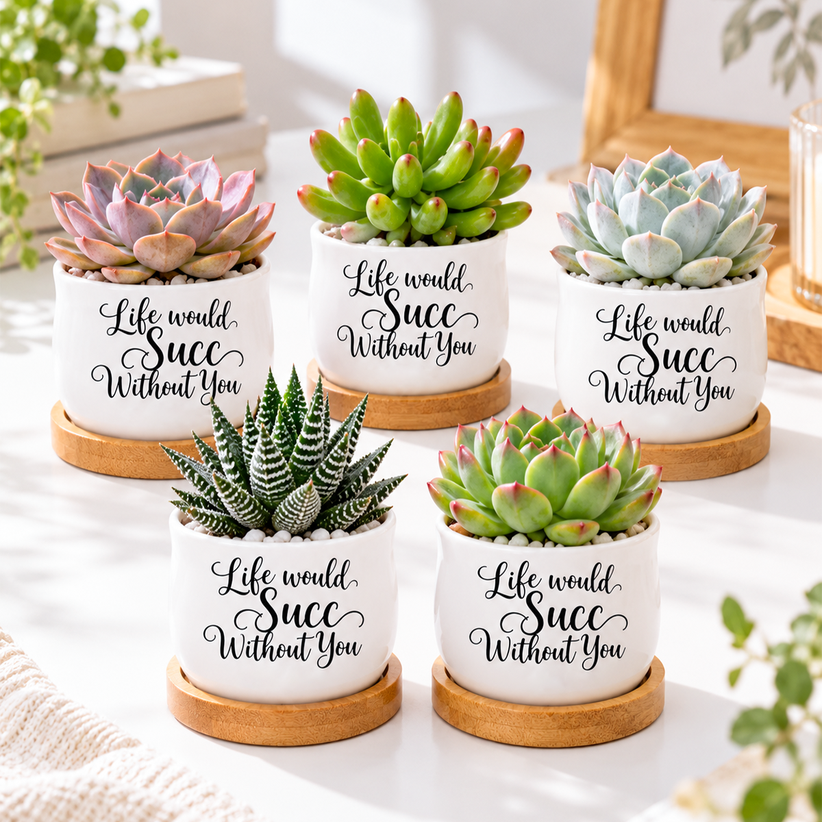 buy Pack of Succulent Pot - Life would Succ Without You online, white glazed ceramic barrel-shaped mini pot with natural bamboo tray, decorative planter with drainage hole, cute desk accessory and thoughtful gift for plant enthusiasts