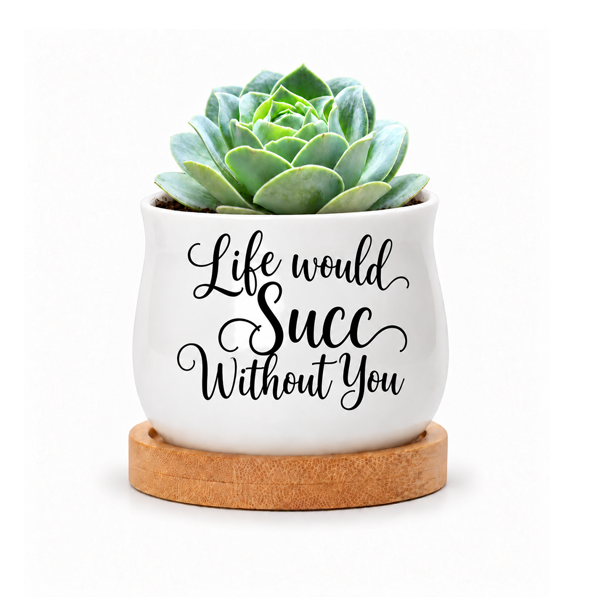 buy white life would succ without you succulent pot online; glazed ceramic mini pot with curved design and printed saying; natural wood bamboo tray included for water protection; compact size perfect for desks or shelves; fun present for gardeners and plant enthusiasts