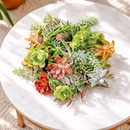 DIY Terrarium Kit, Wedding Favors, Party Favors, Succulent Gift, Fairy Garden Plants, Indoor Gardening