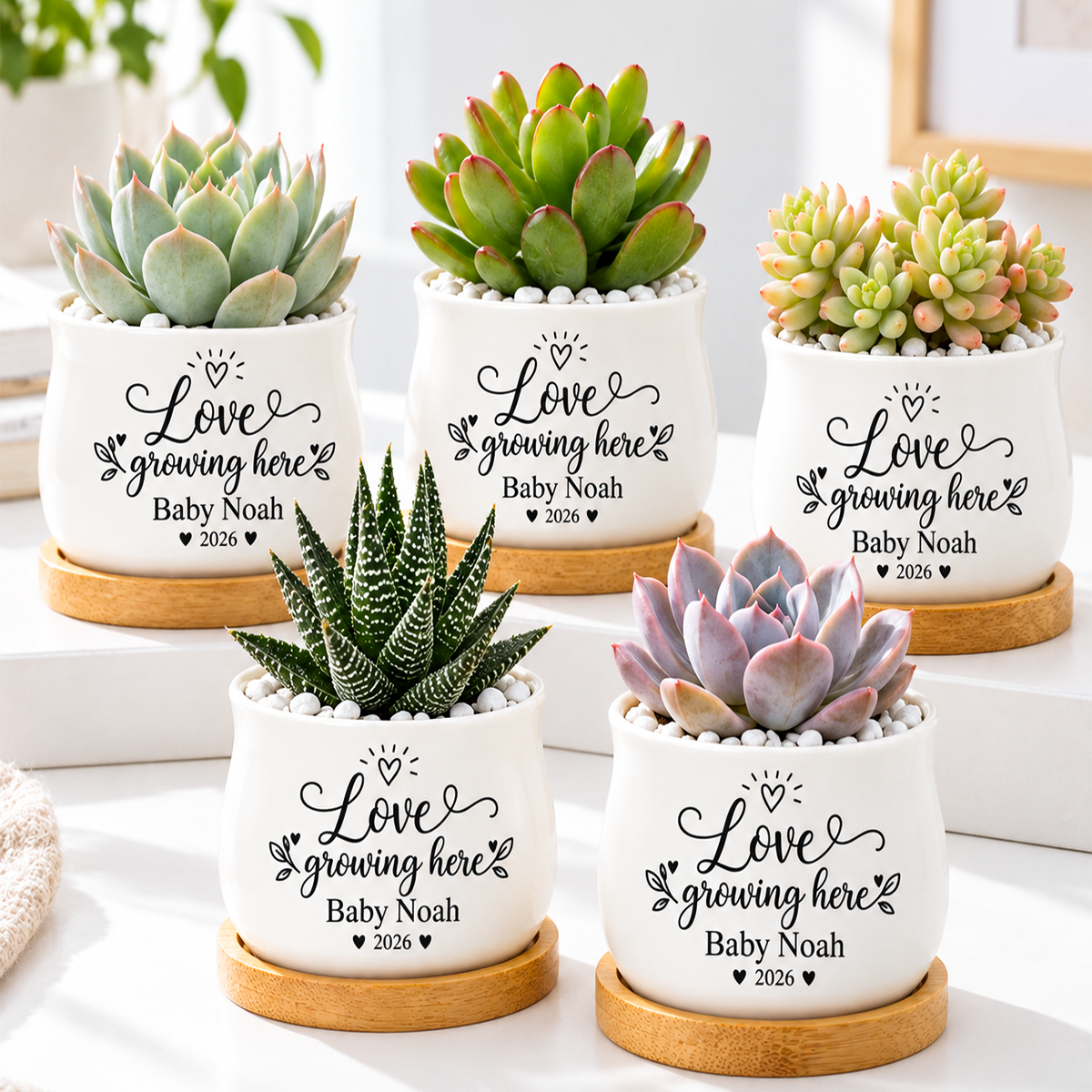buy Pack of Personalized Succulent Pot for Baby Shower Favor - Love Growing Here online, white glazed ceramic barrel-shaped mini planter with bamboo drainage tray, custom engraved with baby name and arrival date, ideal for tiny succulents or tea light candles, memorable baby shower keepsake for guests