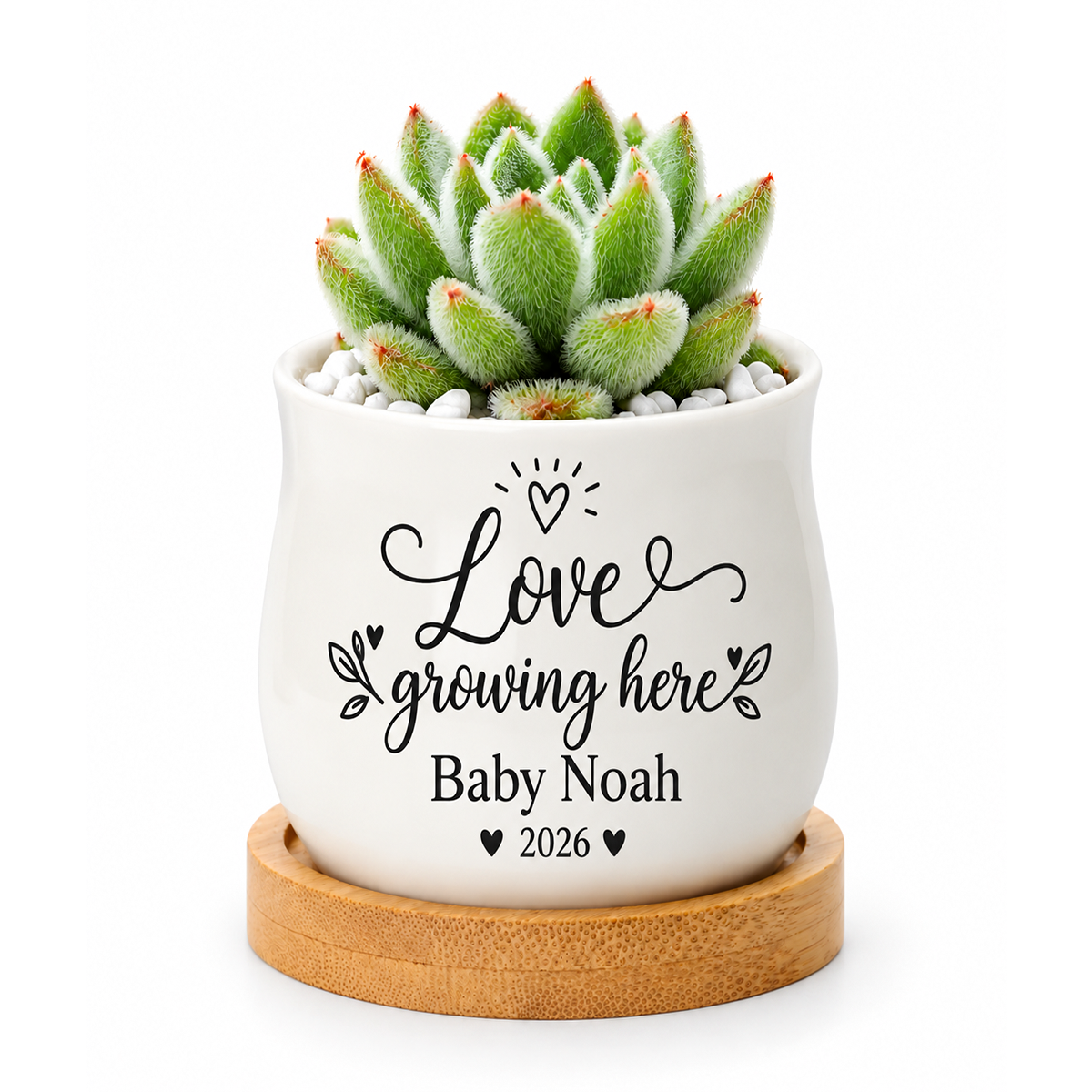 buy personalized succulent pot for baby shower favor - love growing here online, white ceramic pot with functional drainage hole, includes coordinating bamboo tray base, holds tea lights or small dried flowers, personalized with baby details, thoughtful keepsake for baby celebrations