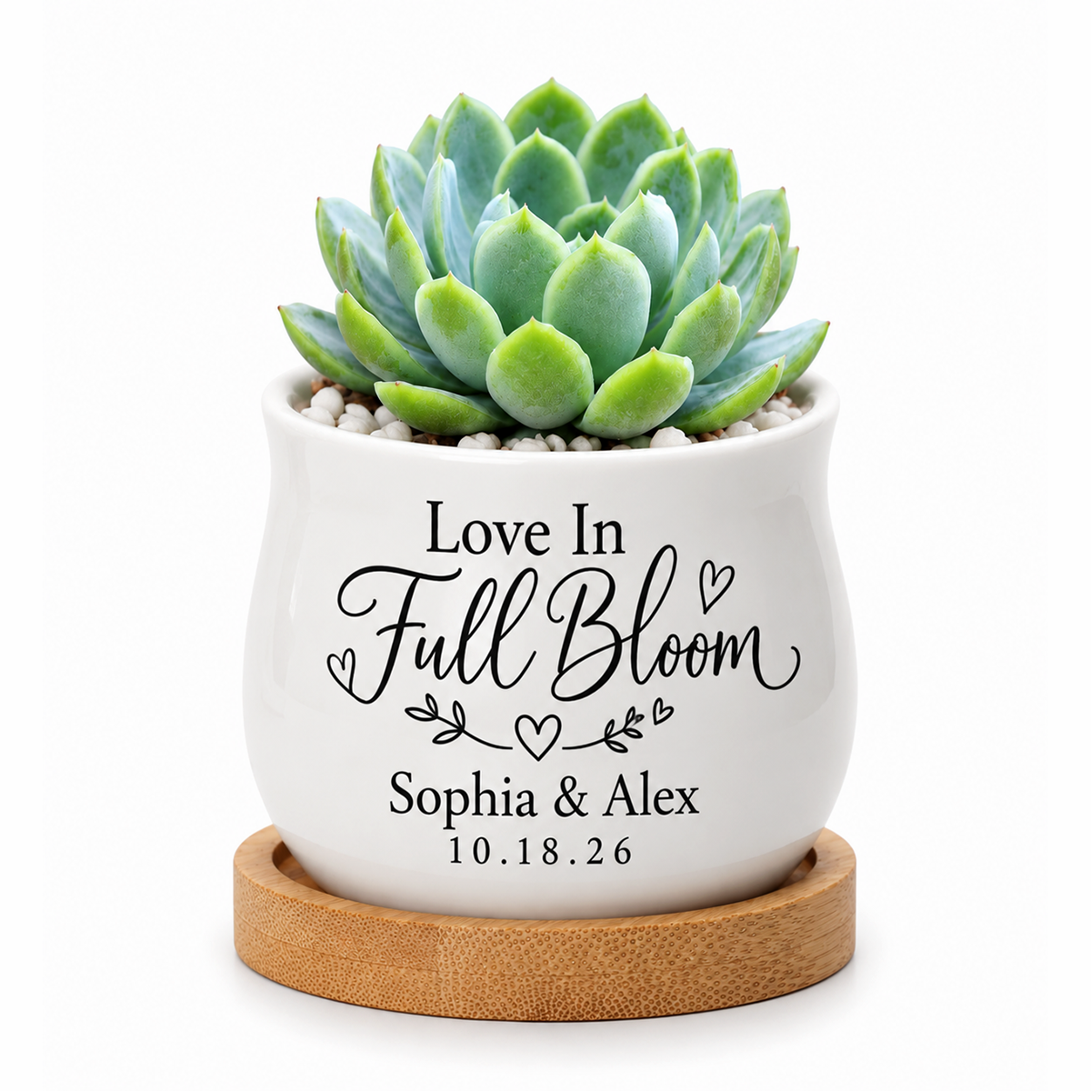 custom ceramic personalized succulent pot for wedding favor - love in full bloom for sale, includes natural bamboo tray, engraved couple names and date, ideal for newlyweds