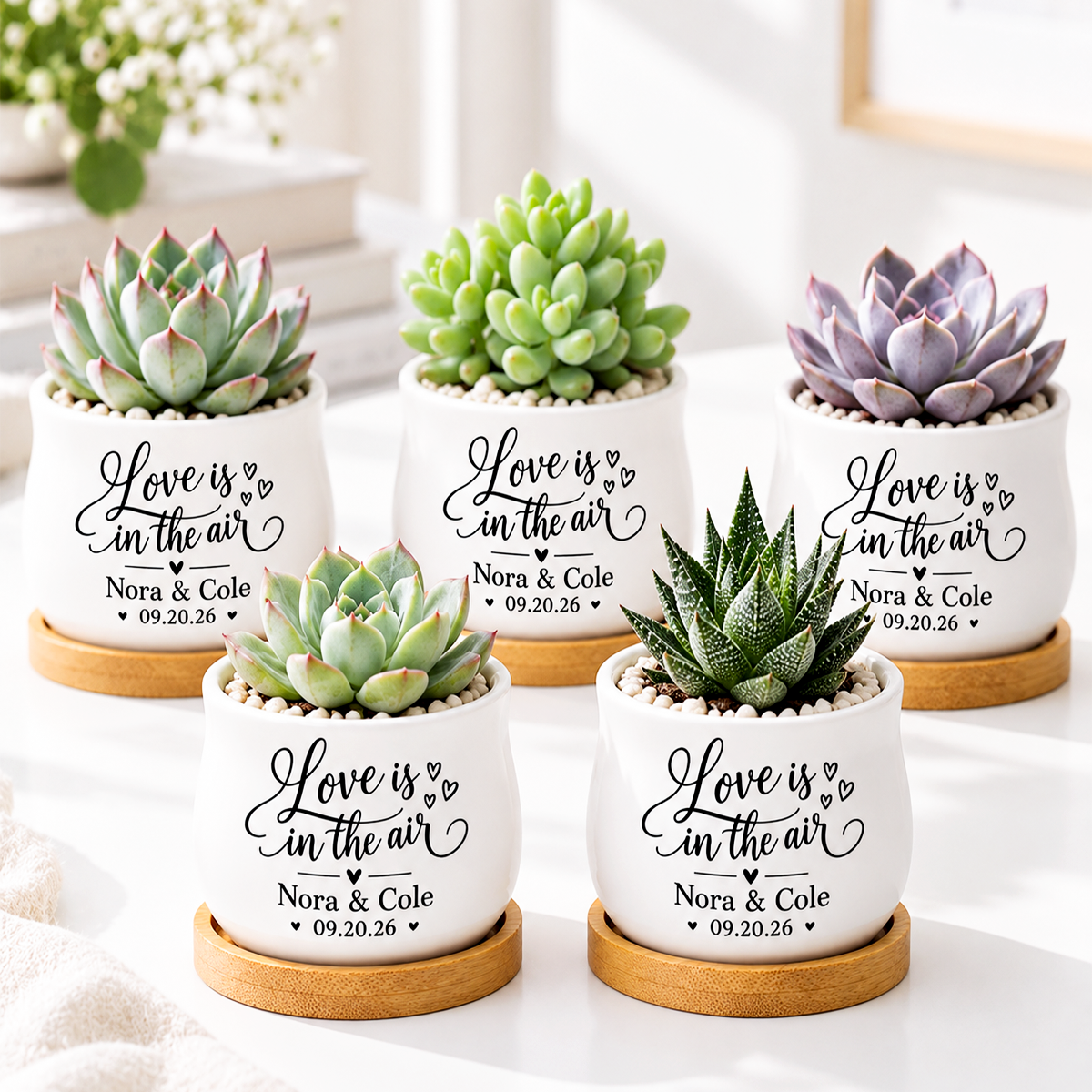 buy Pack of Personalized Succulent Pot for Wedding favor - Love Is In The Air online, white glazed ceramic barrel-shaped mini planter, includes matching bamboo drainage tray, custom printed with couple's names and date, ideal for wedding guest favors and keepsakes