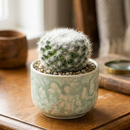 Custom plant pot with personalized image, personalized flower pot with live plant, custom photo plant pot, personalized planter with plant of your choice, custom printed ceramic planter, personalized succulent pot, custom image flower pot gift, custom photo planter for houseplants