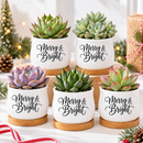 buy mini ceramic Succulent Pot - Merry &amp; Bright online, glazed white finish with cheerful seasonal design, compact size, comes with matching bamboo tray, great for plant lovers and home decorators