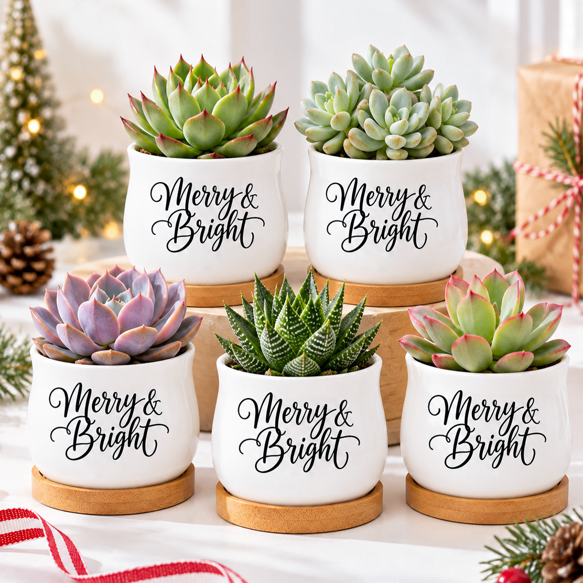 buy Pack of Succulent Pot - Merry & Bright online, white glazed ceramic barrel pot, includes natural bamboo drainage tray, ideal for small succulents or candles, makes a charming holiday gift